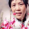 郁金香的头像