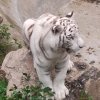 真好晓晓的头像