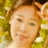 白牡丹的头像