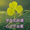 思雨石的头像