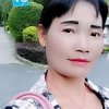 杨妹的头像
