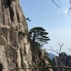 英！的头像