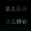 骑蚊子看日出的头像