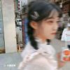 猫九的头像