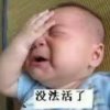 《银飞月》家族《诗》的头像