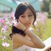 雨后彩虹的头像