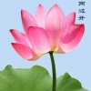微风细雨的头像