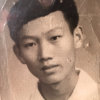 常青树的头像