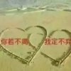 风的头像