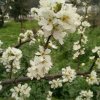 花开花落又一年。的头像