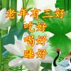 【乐在其中】（拒私信）的头像