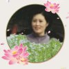 平安是福的头像