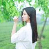 燕子的头像