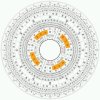 惜花君(朋友)的头像