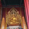 从从容容的头像