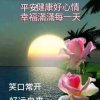  阿宝 的头像