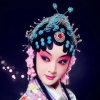 秦腔的头像