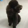 春天来了的头像