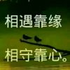 斌海总督<div class=