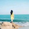 《青山绿水》的头像