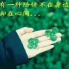 傻丫头的头像