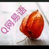 Q网的头像