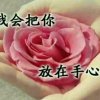 李来的头像