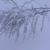 全家 幸福的头像