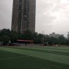 平姐(不玩币)的头像