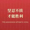 E-小莉宜10（互动回访）的头像