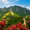 梁山英雄的头像