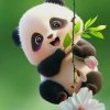 蔡蔡的头像