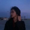 喵叽@纯白(暂退ing)的头像