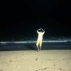 『梵音』_大钊的头像