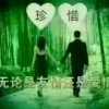星星的头像