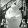 阿海的头像