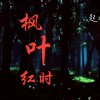 妙涵的头像