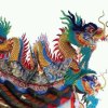 红尘看破的头像