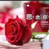 沩镯嗳妳的头像