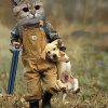 龙猫的头像