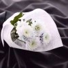 心癌晚期@「这号已注销」的头像