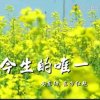 知足常乐的头像
