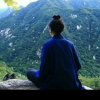 风华笔墨的头像