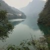 甘心情愿的头像