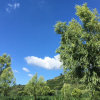 潮韵顺兴的头像