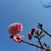 岁月静美的头像