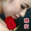 阳光依旧的头像