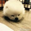 X.N的头像