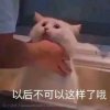 问的头像