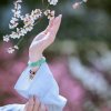 幸福哒人（小号）的头像